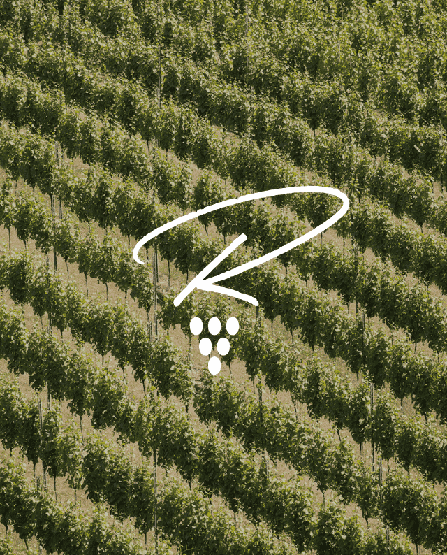 Wine Club Subscription